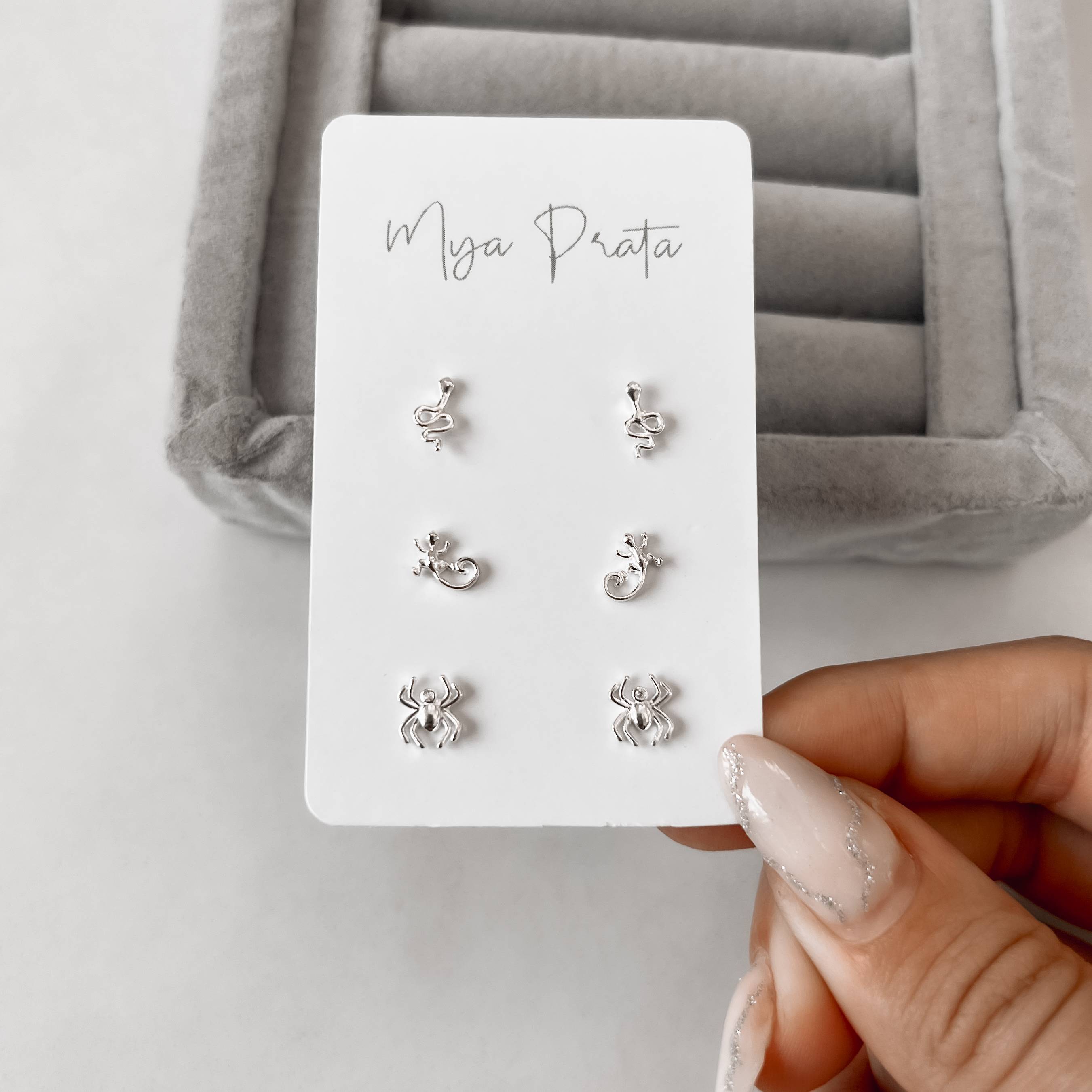 Trio cobra, lagarto e aranha