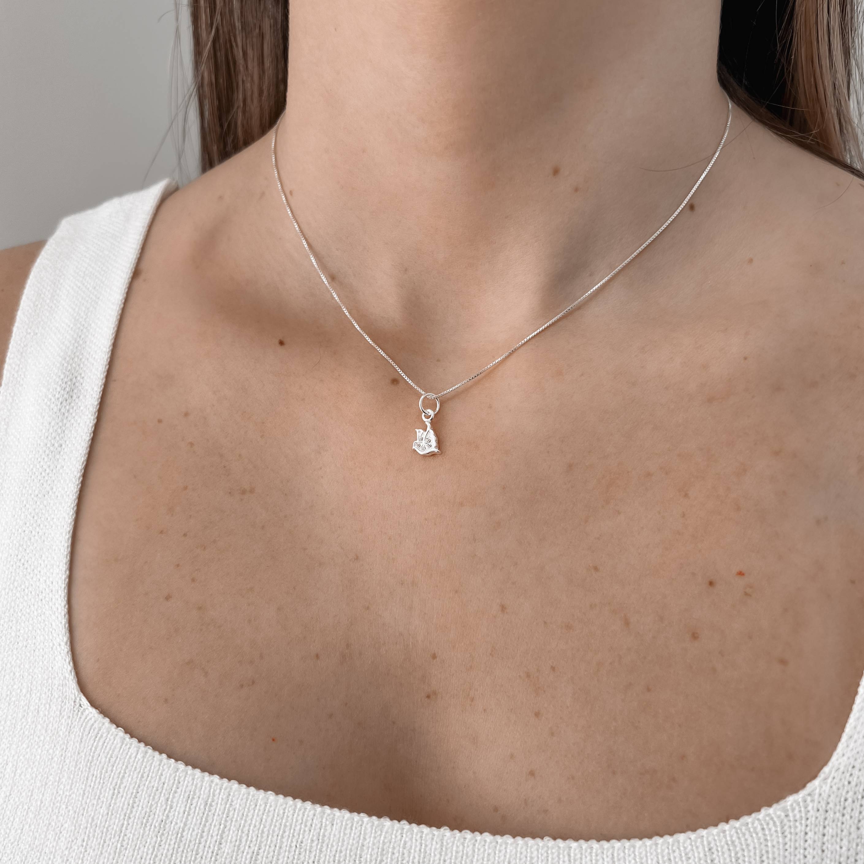 Imagem Secundária Colar pingente Espírito Santo cravejado 7mm 40cm